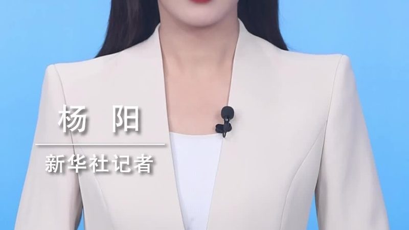 智能客服电话系统：如何选择最适合您的解决方案**